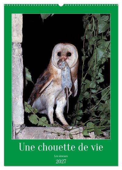 Picture of Une chouette de vie, les oiseaux (Calendrier mural 2027 DIN A2 horizontal), CALVENDO calendrier mensuel