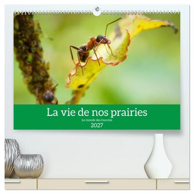 Picture of La vie de nos prairies - Le monde des fourmis (Calendrier mural haut de gamme 2027 DIN A2 vertical), CALVENDO calendrier mensuel