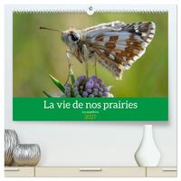 Picture of La vie de nos prairie, les papillons (Calendrier mural haut de gamme 2027 DIN A2 vertical), CALVENDO calendrier mensuel
