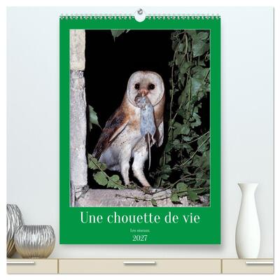 Picture of Une chouette de vie, les oiseaux (Calendrier mural haut de gamme 2027 DIN A2 horizontal), CALVENDO calendrier mensuel