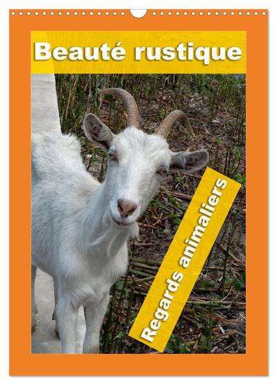 Image de Beauté rustique Regards animaliers (Calendrier mural 2027 DIN A3 horizontal), CALVENDO calendrier mensuel