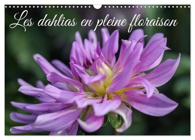 Image de Les Dahlias en pleine floraison (Calendrier mural 2027 DIN A3 vertical), CALVENDO calendrier mensuel