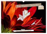Picture of La Mante Orchidée (Calendrier mural 2027 DIN A3 vertical), CALVENDO calendrier mensuel