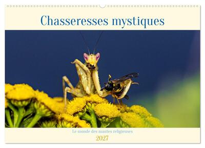 Picture of Chasseresses mystiques (Calendrier mural 2027 DIN A2 vertical), CALVENDO calendrier mensuel