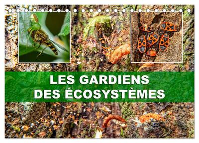 Picture of Les gardiens des écosystèmes (Calendrier de bureau 2027 DIN A5 vertical), CALVENDO calendrier mensuel