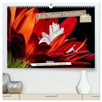 Picture of La Mante Orchidée (Calendrier mural haut de gamme 2027 DIN A2 vertical), CALVENDO calendrier mensuel