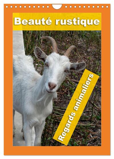 Image de Beauté rustique Regards animaliers (Calendrier mural 2027 DIN A4 horizontal), CALVENDO calendrier mensuel