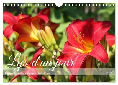 Image de Lys d'un jour (Calendrier mural 2027 DIN A4 vertical), CALVENDO calendrier mensuel