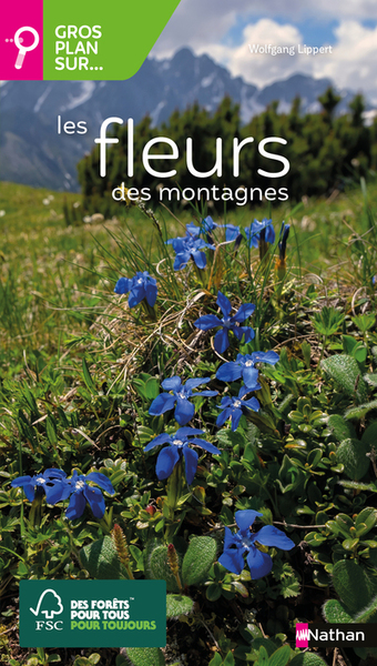 Picture of Gros plan sur les fleurs des montagnes