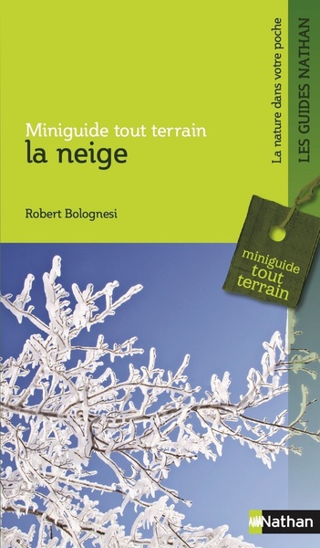 Picture of La neige