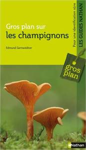 Image de Gros plan sur les Champignons