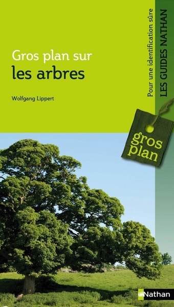 Image de Gros plan sur les arbres