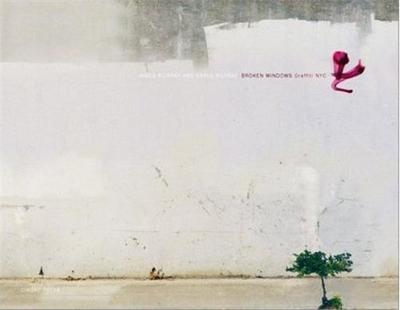 Picture of Broken Windows - Graffiti NYC /anglais