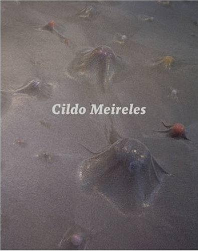 Picture of Cildo Meireles /anglais