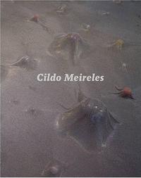 Picture of Cildo Meireles /anglais