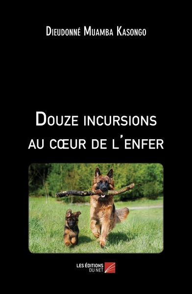 Image de Douze incursions au cœur de l'enfer