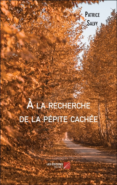 Image de À la recherche de la pépite cachée