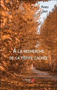 Image de À la recherche de la pépite cachée