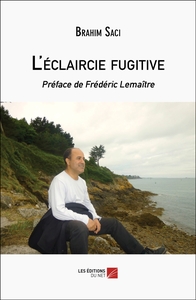 Picture of L'éclaircie fugitive