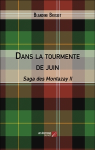 Picture of Dans la tourmente de juin