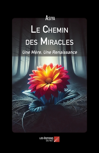 Picture of Le Chemin des Miracles