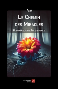 Picture of Le Chemin des Miracles