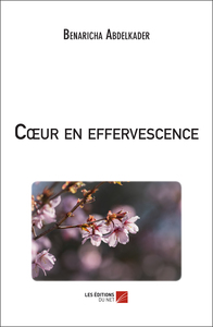 Image de Cœur en effervescence