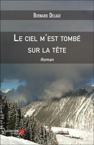 Image de Le ciel m'est tombé sur la tête