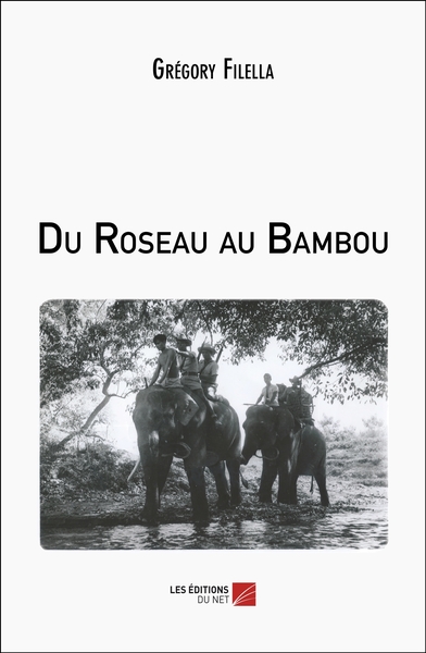 Picture of Du Roseau au Bambou