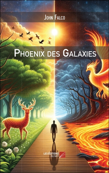 Picture of Phoenix des Galaxies
