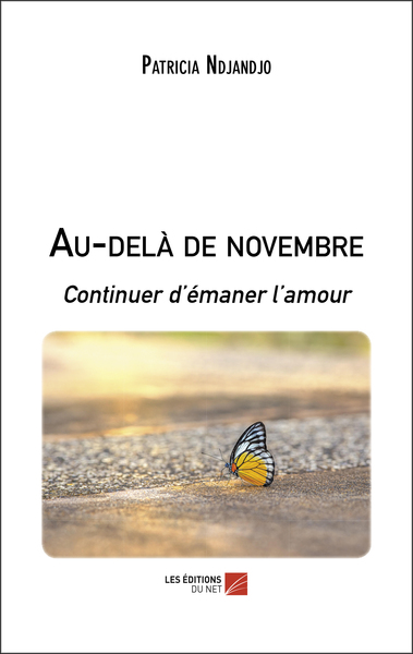 Picture of Au-delà de novembre