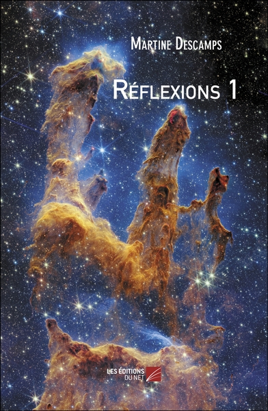 Picture of Réflexions 1
