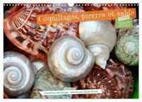 Image de Coquillages, pierres et sable (Calendrier mural 2027 DIN A3 vertical), CALVENDO calendrier mensuel