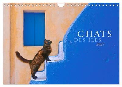 Picture of Chats des îles (Calendrier mural 2027 DIN A4 vertical), CALVENDO calendrier mensuel