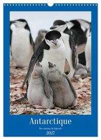 Image de Antarctique des oiseaux de légende (Calendrier mural 2027 DIN A3 horizontal), CALVENDO calendrier mensuel