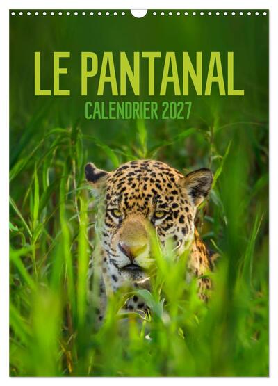 Image de Le Pantanal (Calendrier mural 2027 DIN A3 horizontal), CALVENDO calendrier mensuel