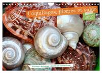 Image de Coquillages, pierres et sable (Calendrier mural 2027 DIN A4 vertical), CALVENDO calendrier mensuel