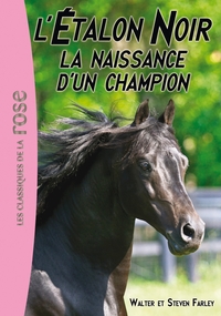 Picture of L'Étalon Noir 19 - La naissance d'un champion