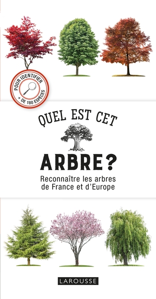 Picture of Quel est cet arbre ?