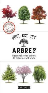 Picture of Quel est cet arbre ?