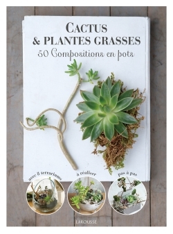 Image de Cactus et plantes grasses