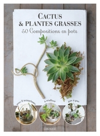 Image de Cactus et plantes grasses