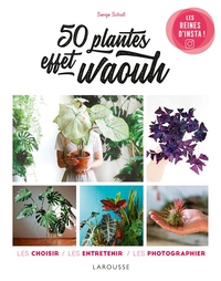 Image de 50 plantes effet waouh
