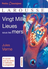 Picture of vingt mille lieues sous les mers