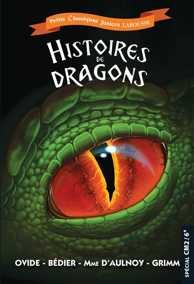 Picture of Histoires de dragons