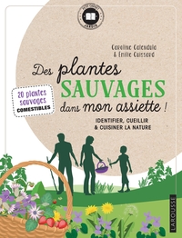 Image de Des plantes sauvages dans mon assiette !