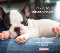 Picture of La vie, tout chienplement...