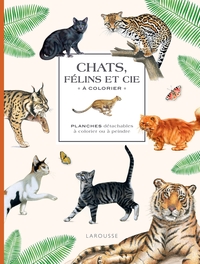 Picture of Chats, félins et Cie à colorier