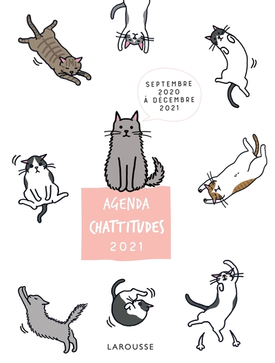 Picture of Agenda Chattitudes 2021