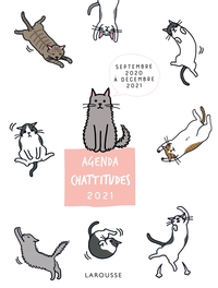 Picture of Agenda Chattitudes 2021